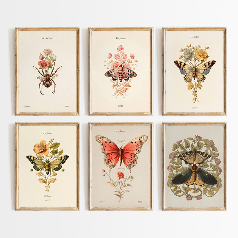 Resin Art And Deco - Affiches et impressions d'illustrations d'insectes, d'araignées